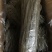 纯天然红薯粉丝