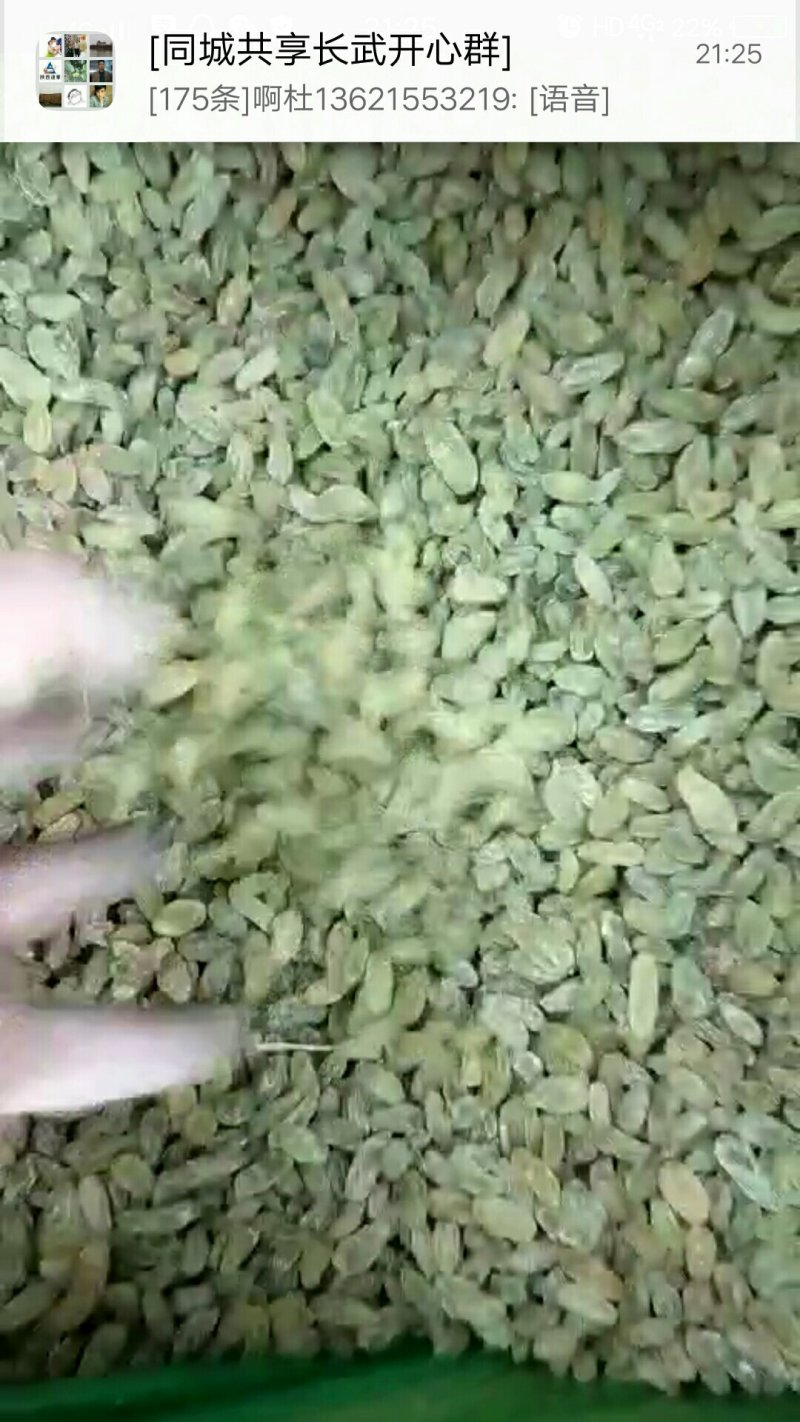 新疆绿葡萄干无核个大