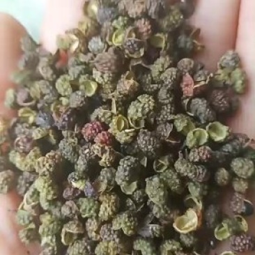 青花椒