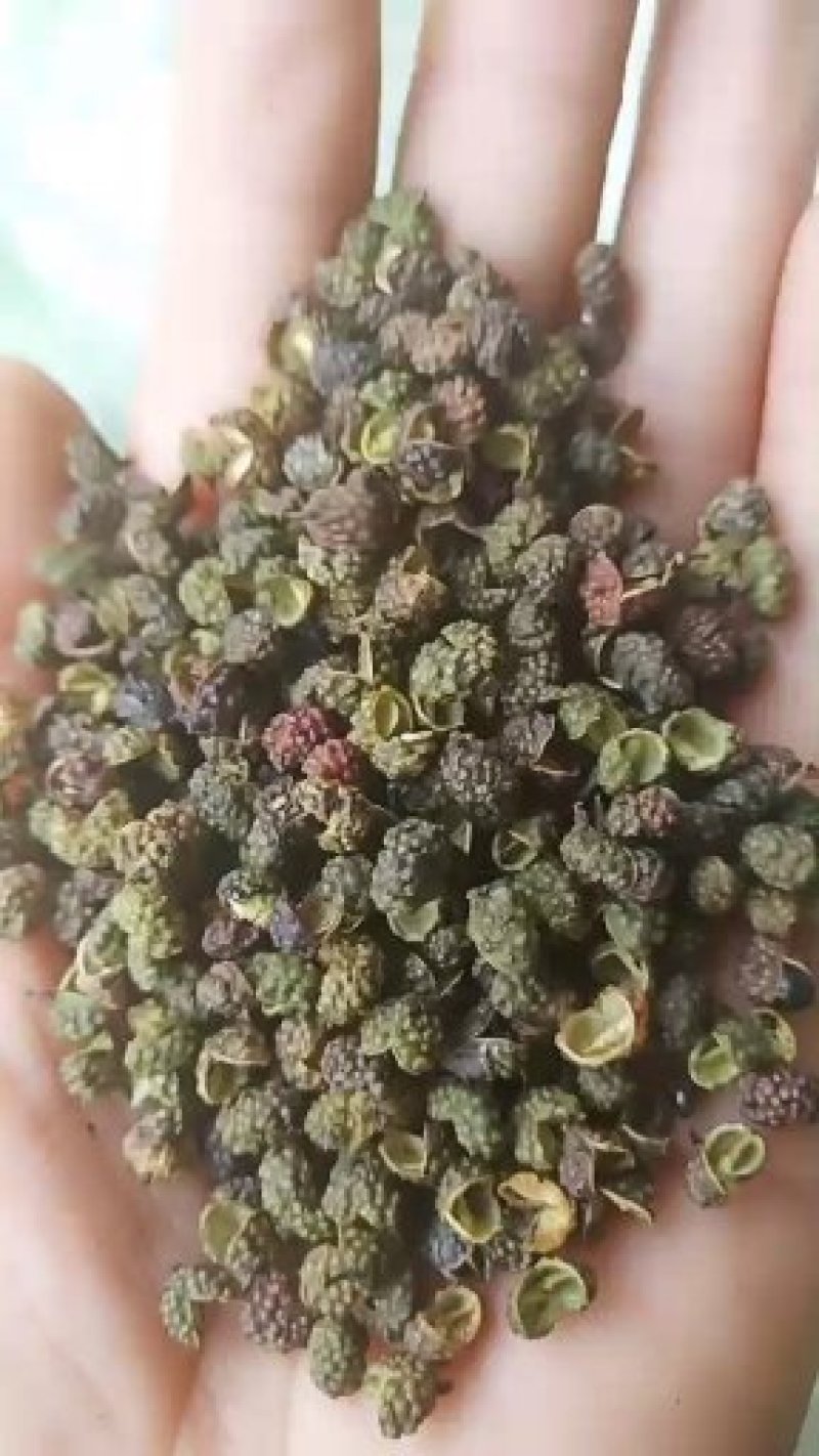 青花椒