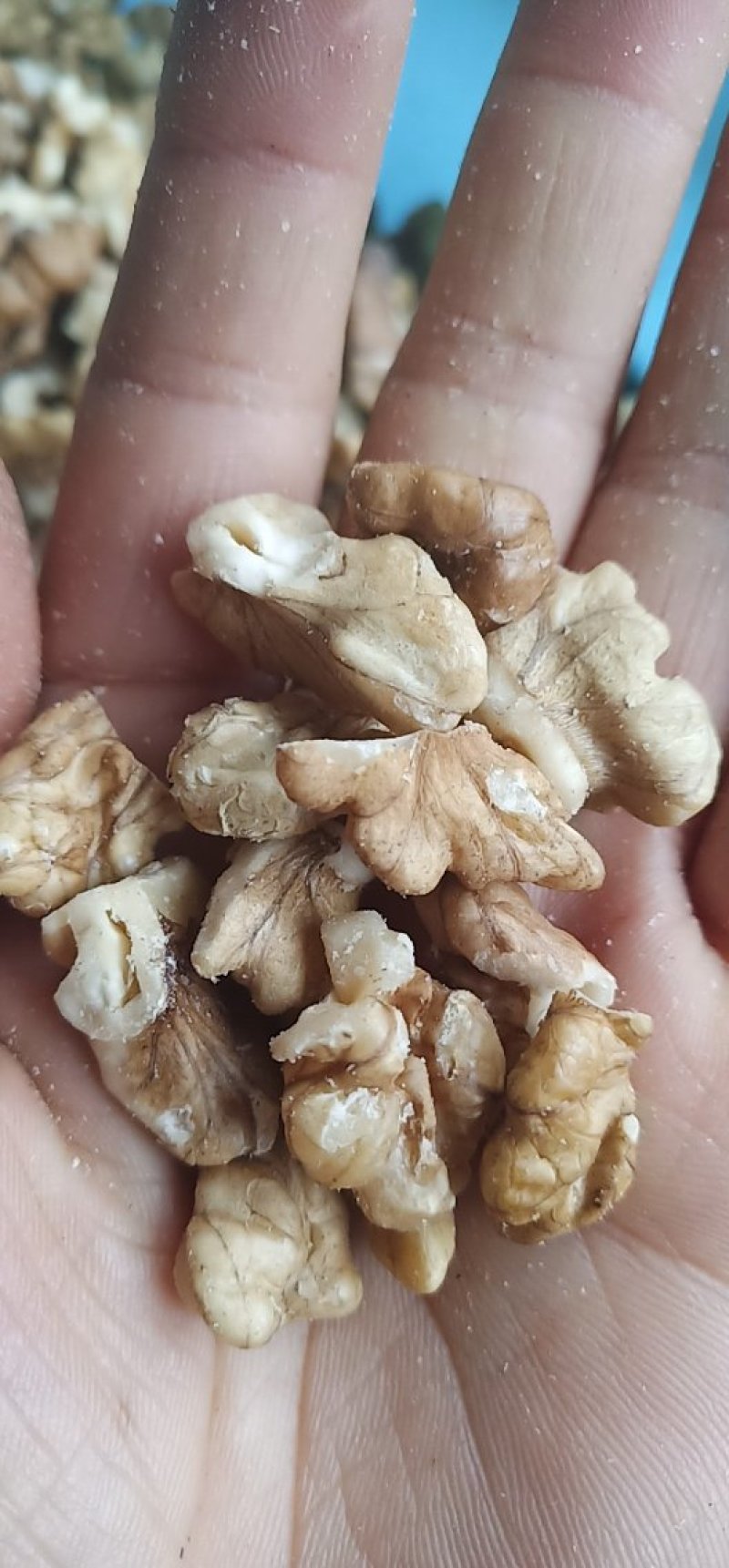 核桃仁，老树核桃仁