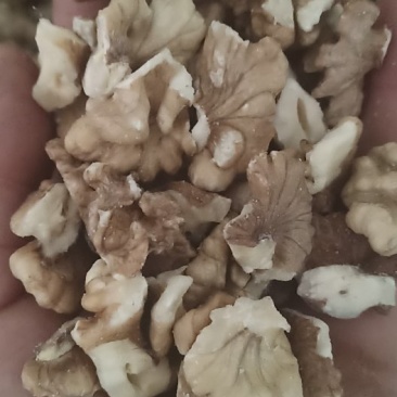 核桃仁，老树核桃仁
