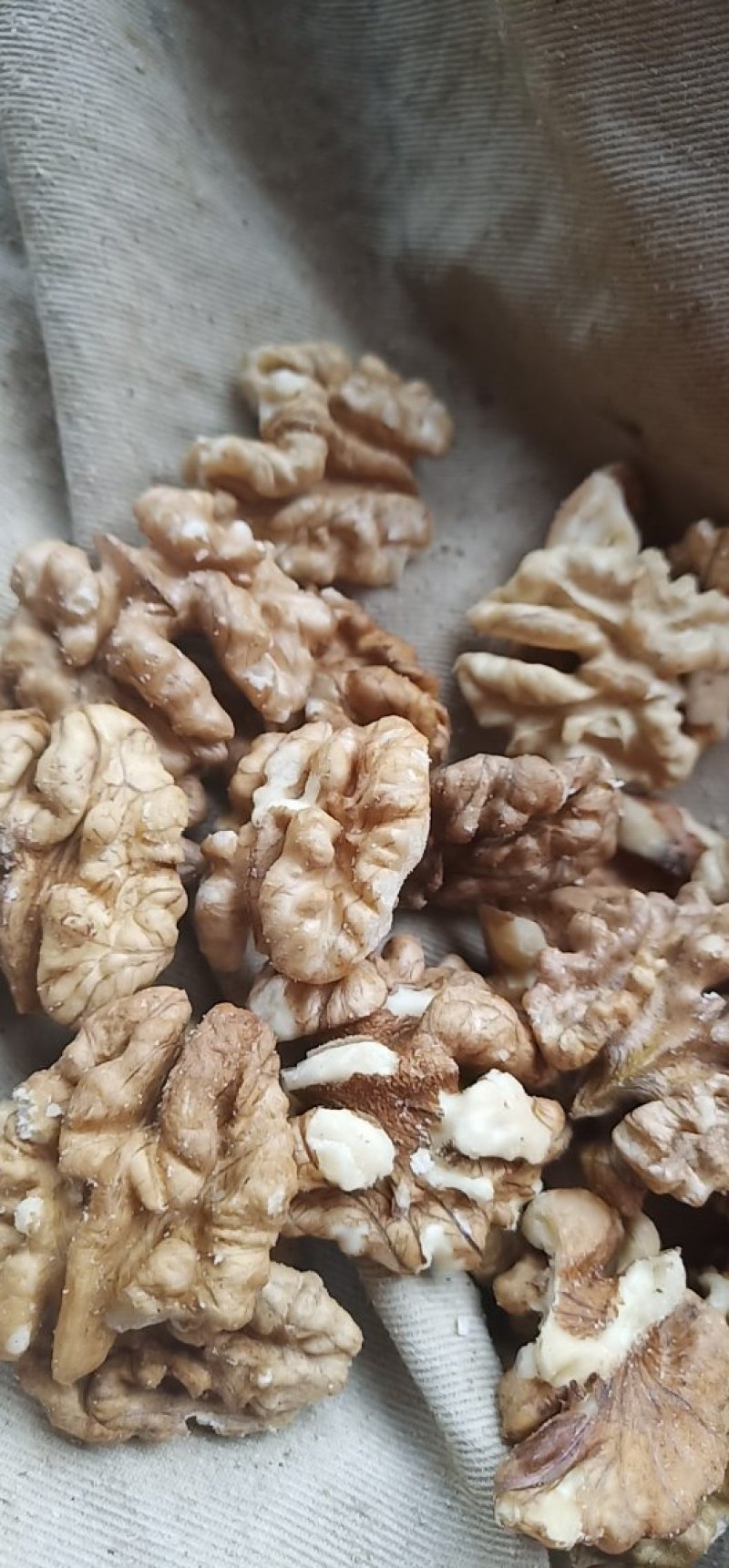 核桃仁