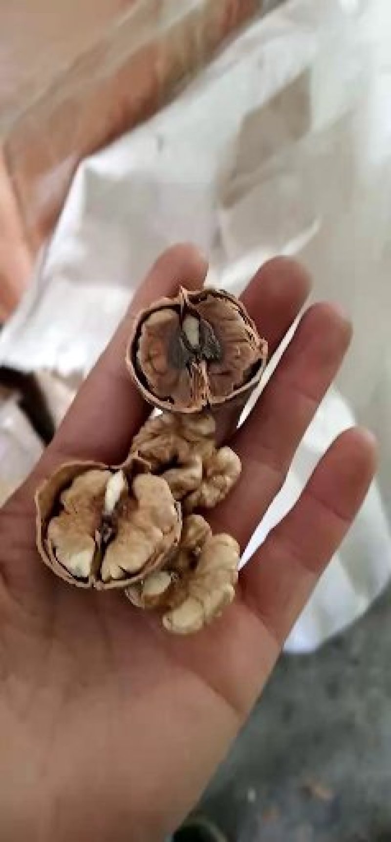 核桃仁