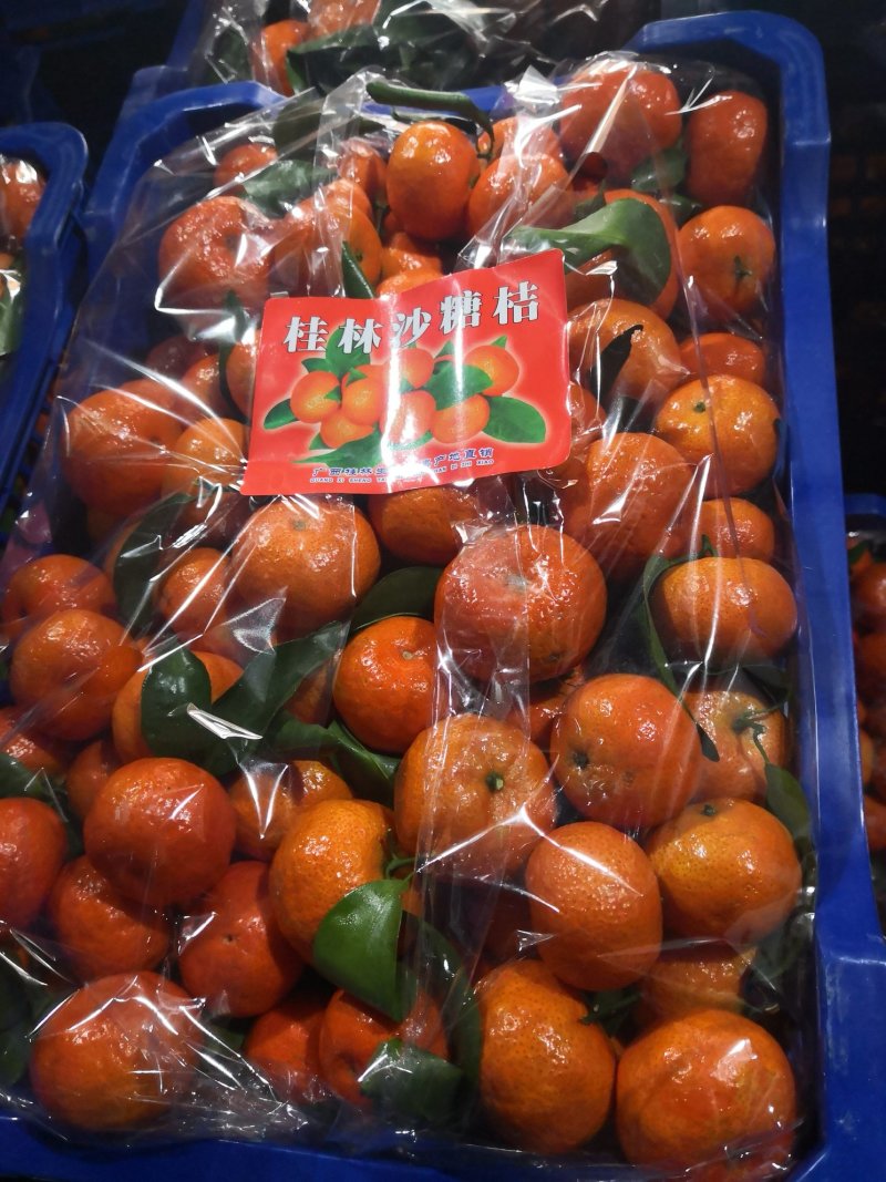 沙糖桔