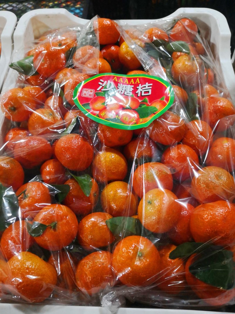 沙糖桔