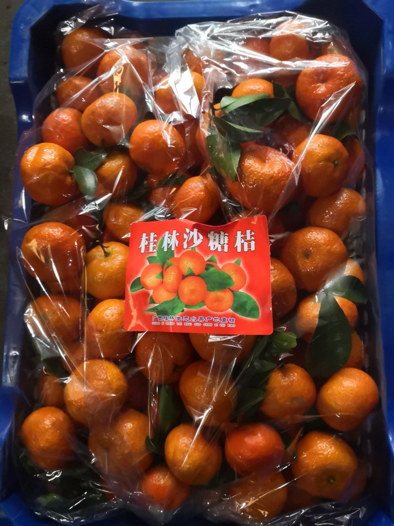 沙糖桔