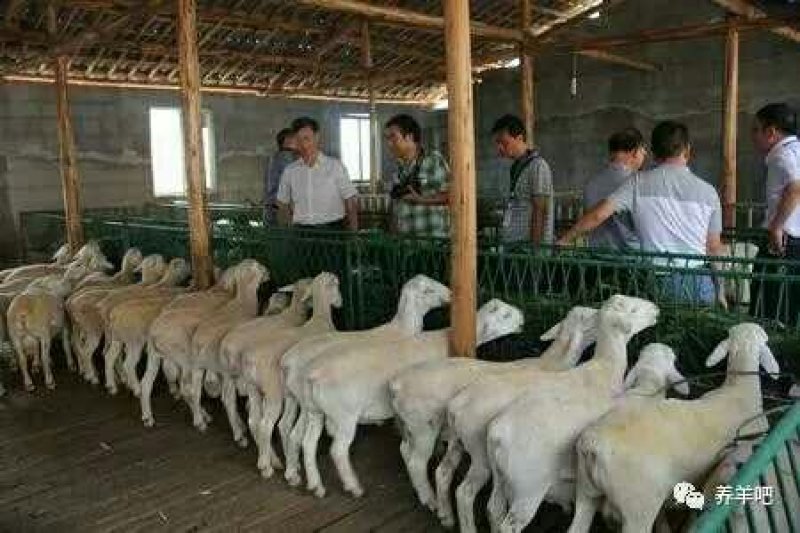 世界硒都湖北恩施富硒农产品