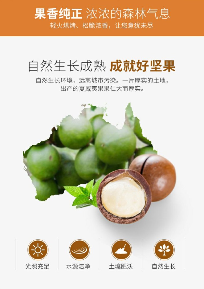 新货夏威夷果含罐装500g奶油坚果干果散装特产批发