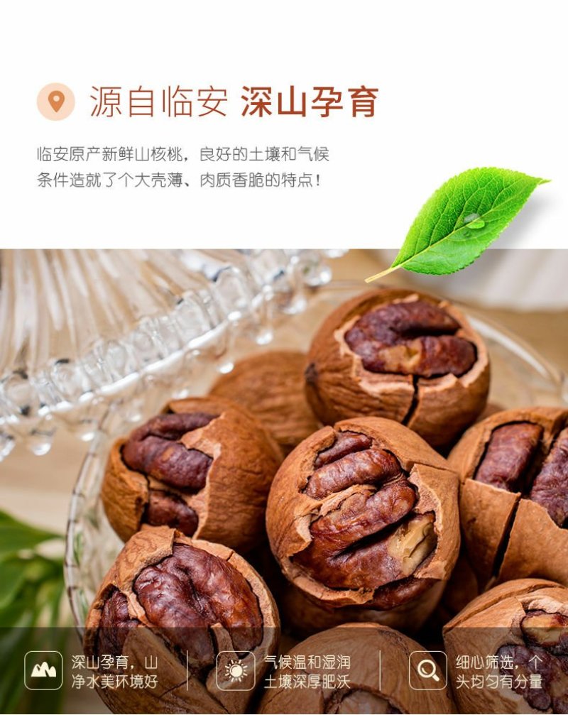 新货临安手剥山核桃连罐零食特产坚果特产500g