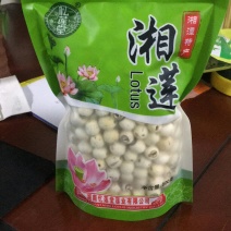 湖南湘潭去芯磨皮湘白莲礼品包装500克一包现货包邮