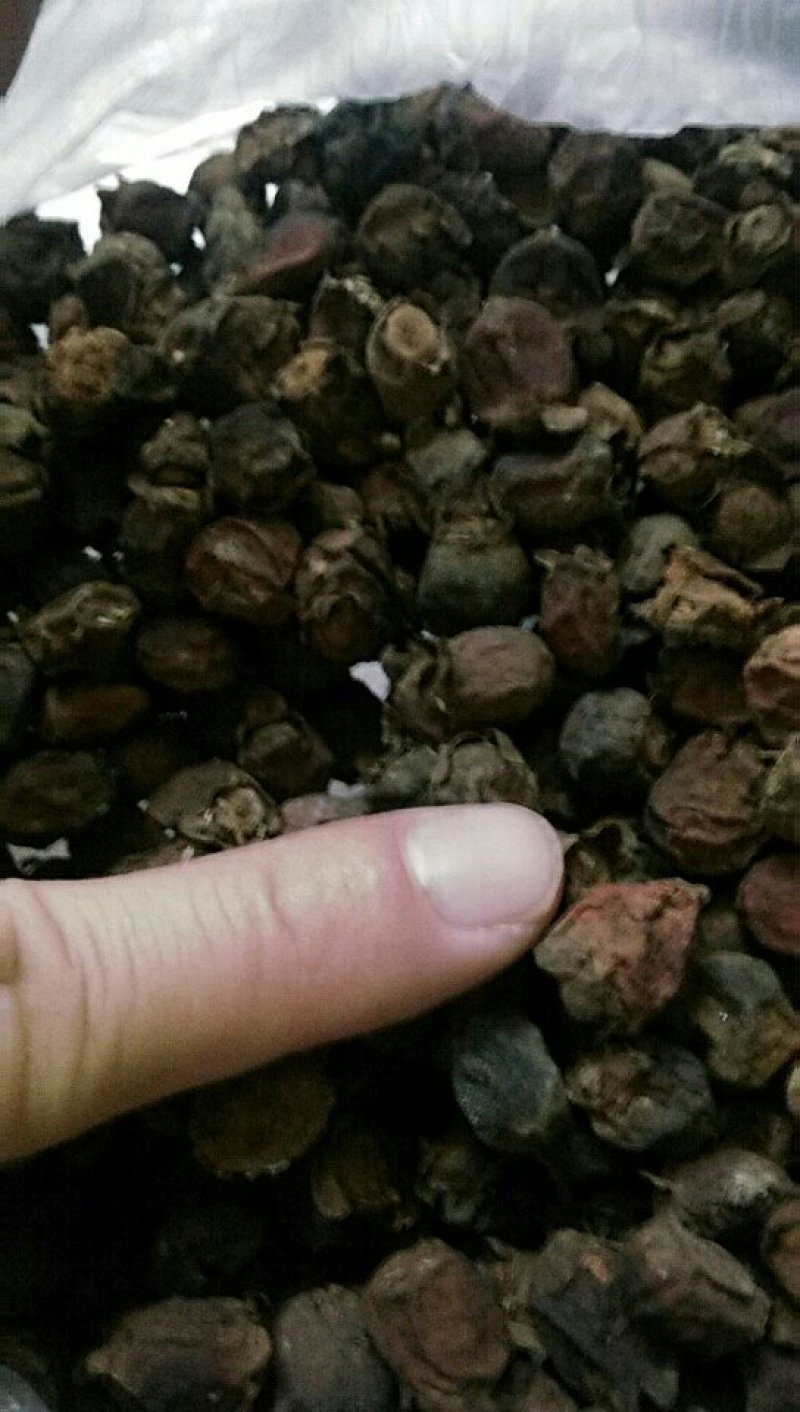 稔子干产地直销品质保证价格优惠欢迎选购