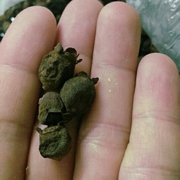 稔子干产地直销品质保证价格优惠欢迎选购