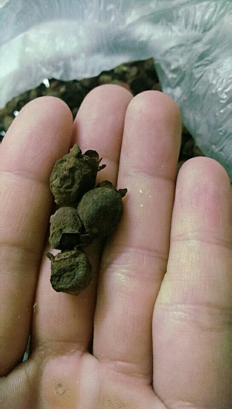 稔子干产地直销品质保证价格优惠欢迎选购