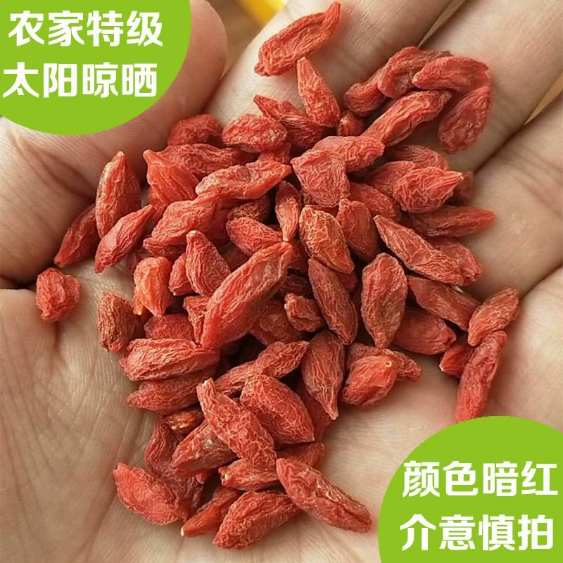 【亏本冲量】正宗宁夏中宁农家红枸杞新货免洗枸杞子500g