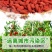 【亏本冲量】正宗宁夏中宁农家红枸杞新货免洗枸杞子500g