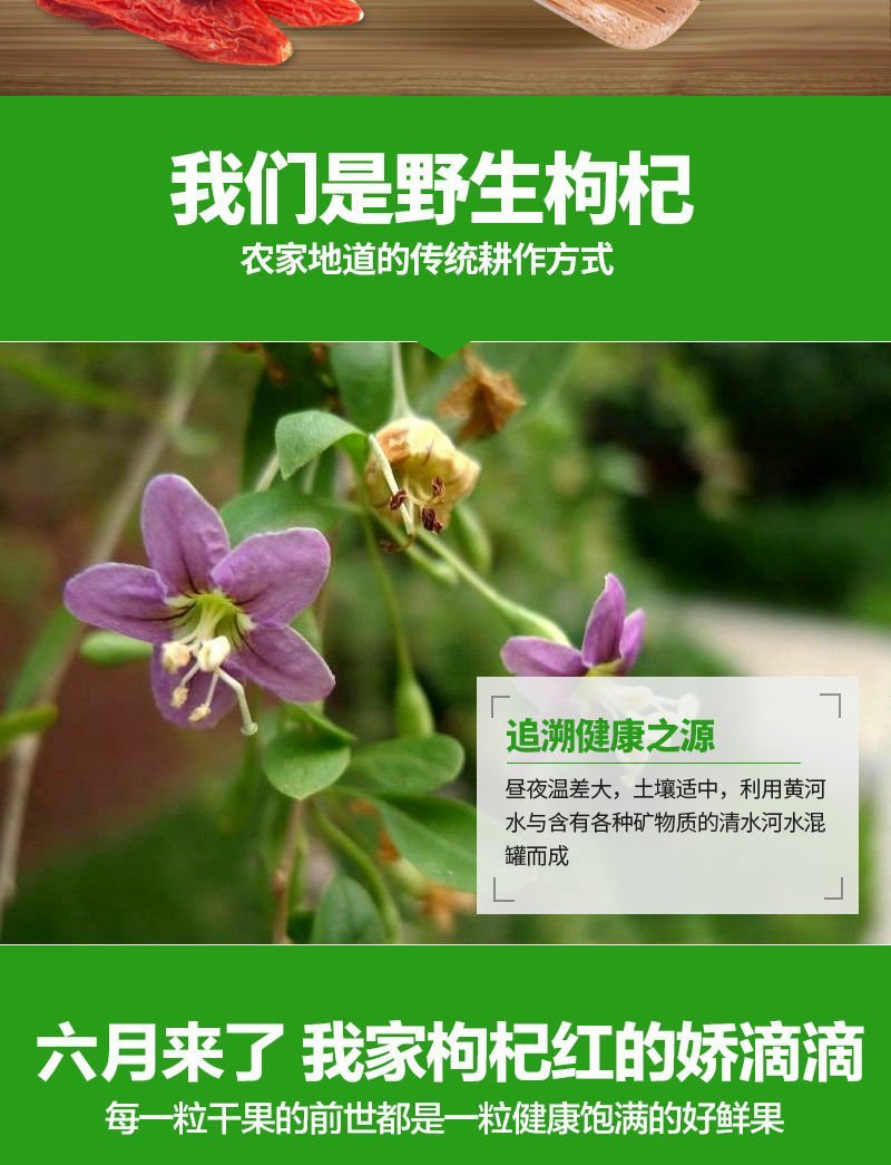 【亏本冲量】正宗宁夏中宁农家红枸杞新货免洗枸杞子500g
