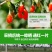 【亏本冲量】正宗宁夏中宁农家红枸杞新货免洗枸杞子500g