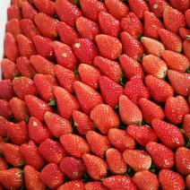 富硒奶油草莓