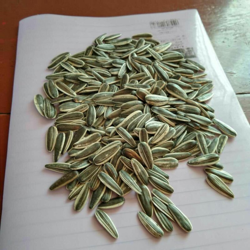新货葵花籽，产地直供品质保证筛选保质保量