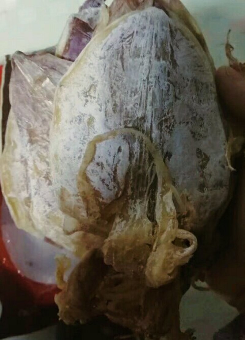 北部湾鱿鱼干手撕鱿鱼干烧烤微波炉拉丝鱿鱼干250g包邮
