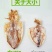 北部湾鱿鱼干手撕鱿鱼干烧烤微波炉拉丝鱿鱼干250g包邮