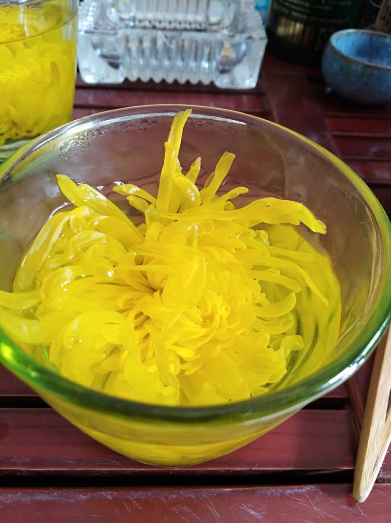 金丝皇菊