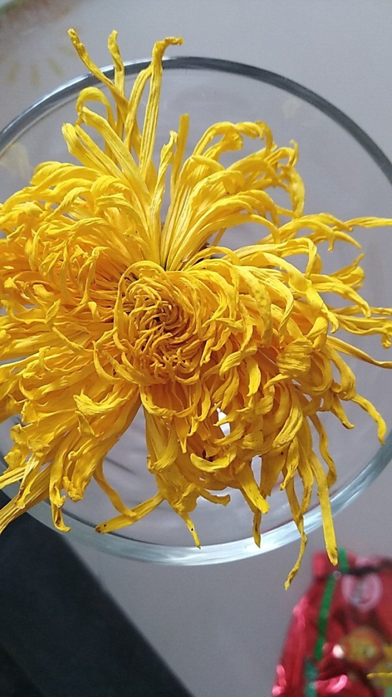 金丝皇菊