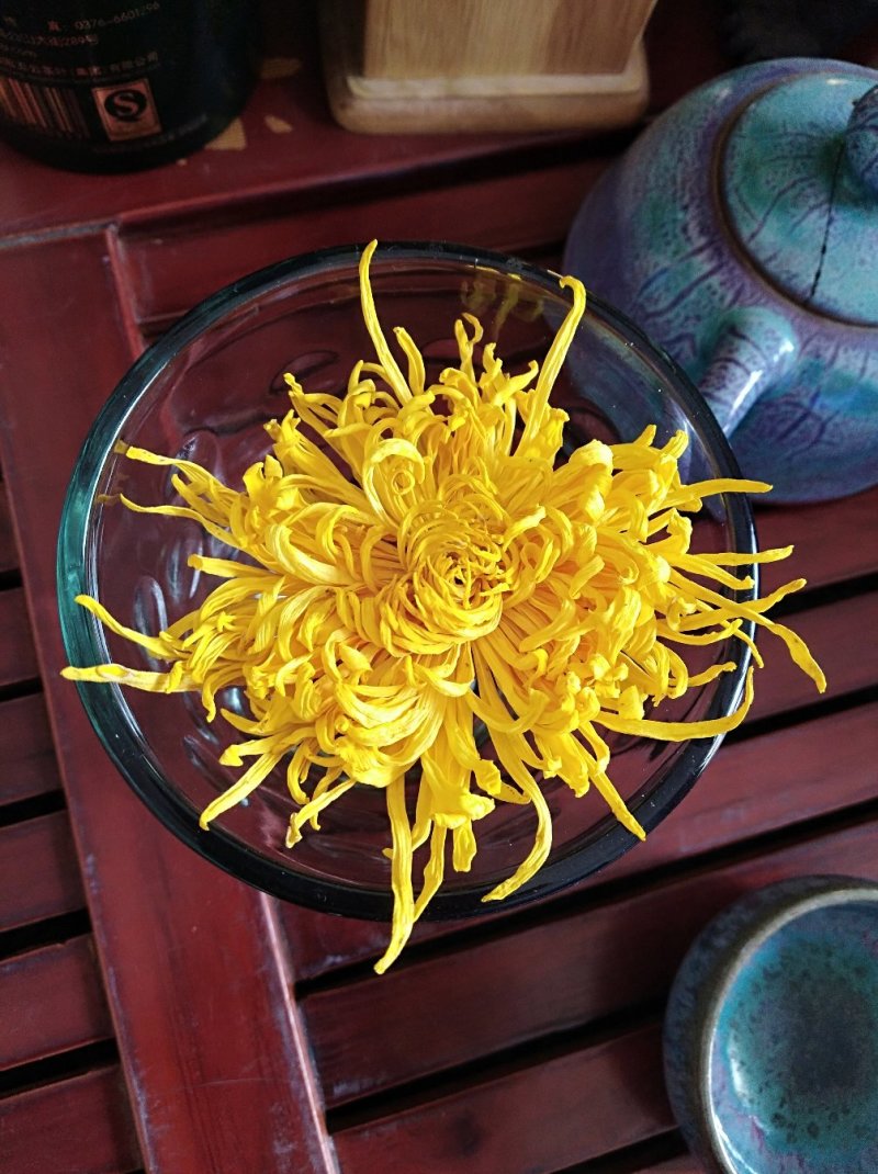 金丝皇菊