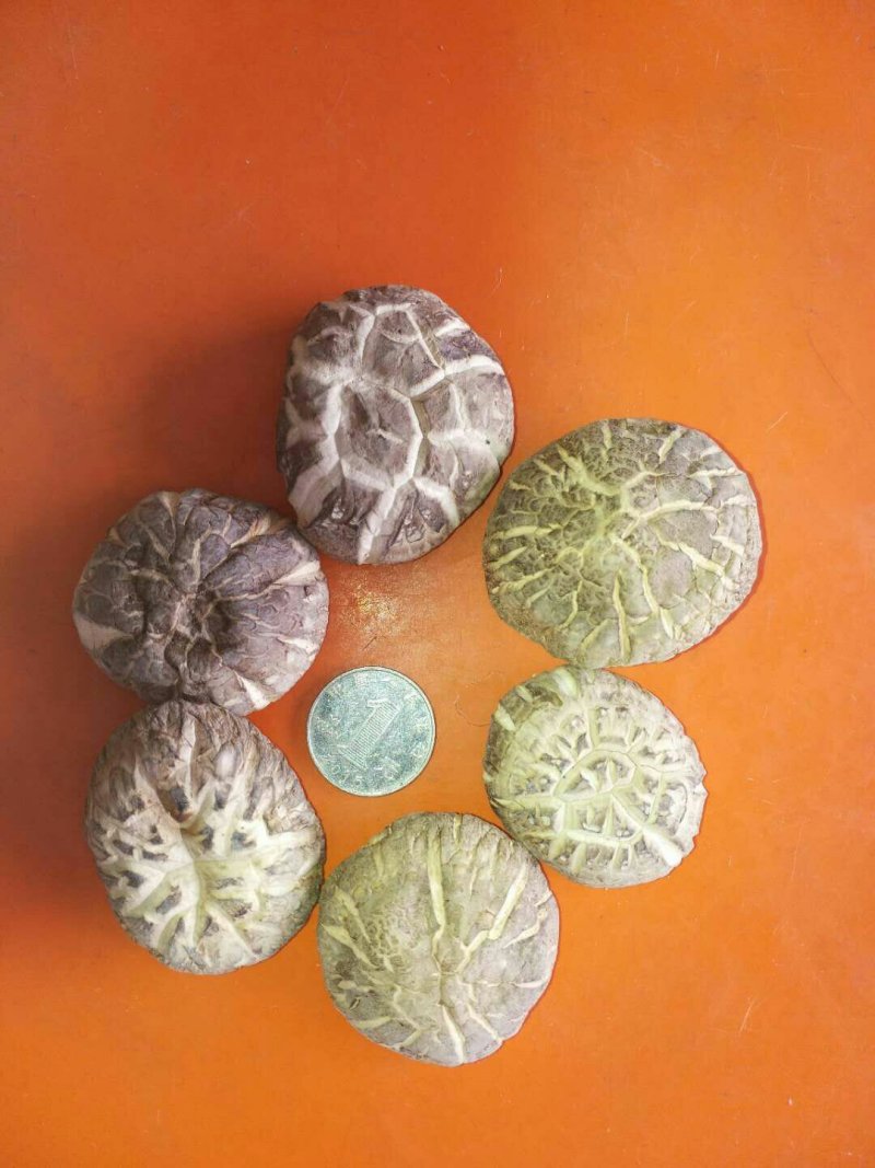干花菇