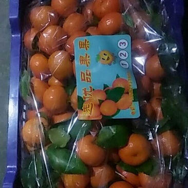 大民水果批发