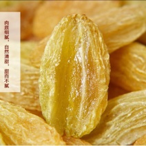 树上黄葡萄干新疆树上黄葡萄干包邮