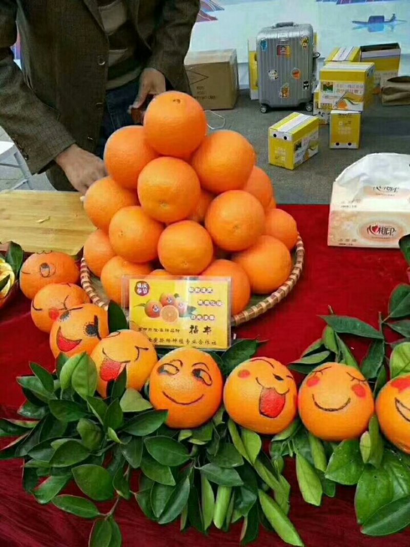 奉节脐橙