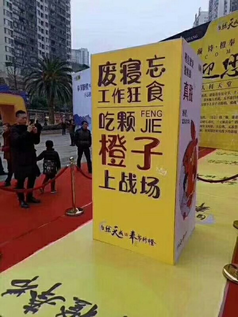 奉节脐橙