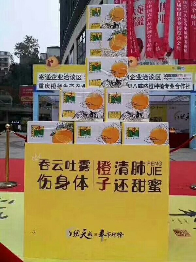 奉节脐橙