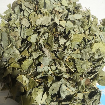 淫羊藿仙灵脾甘肃500克起批无硫***不包邮
