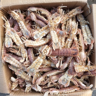 皮皮虾，虾爬子