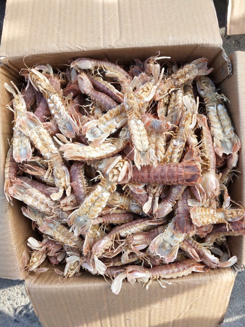皮皮虾，虾爬子