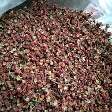 大红袍，小花椒