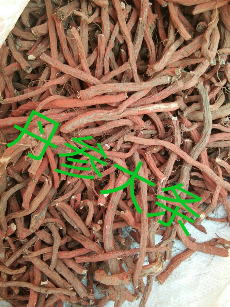 水洗野生丹参，丹参大条，手工剪的丹参片，无硫，无添加。