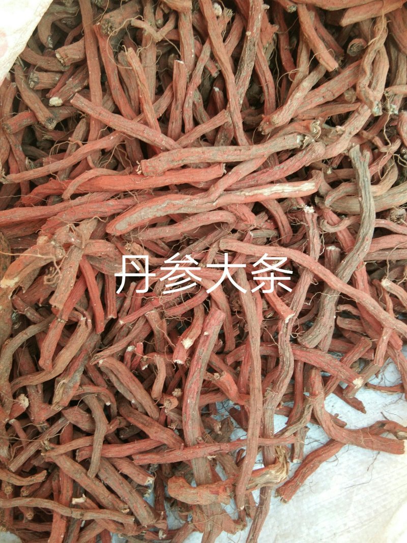 水洗野生丹参，丹参大条，手工剪的丹参片，无硫，无添加。