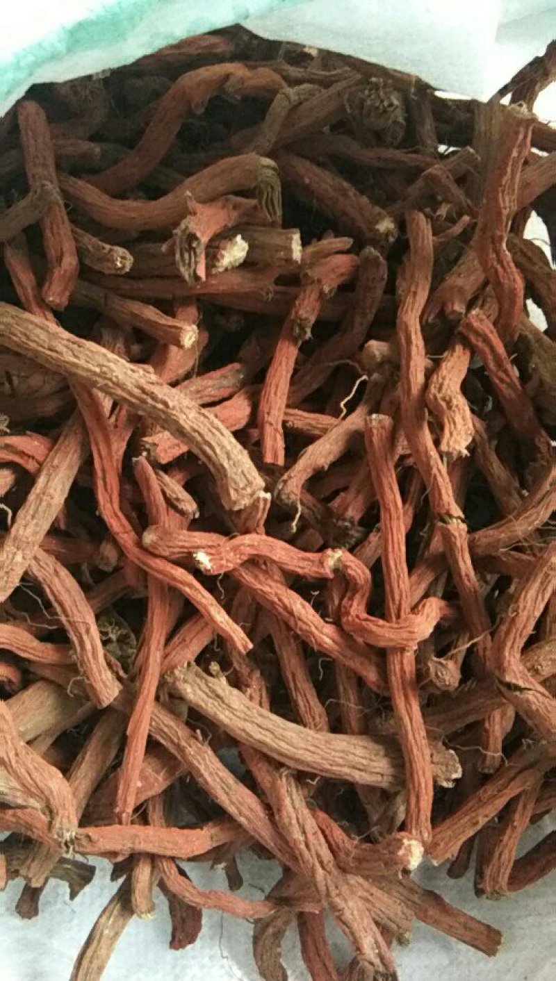 山东丹参大条，丹参片，色红干度好，含量高杂质少，无硫