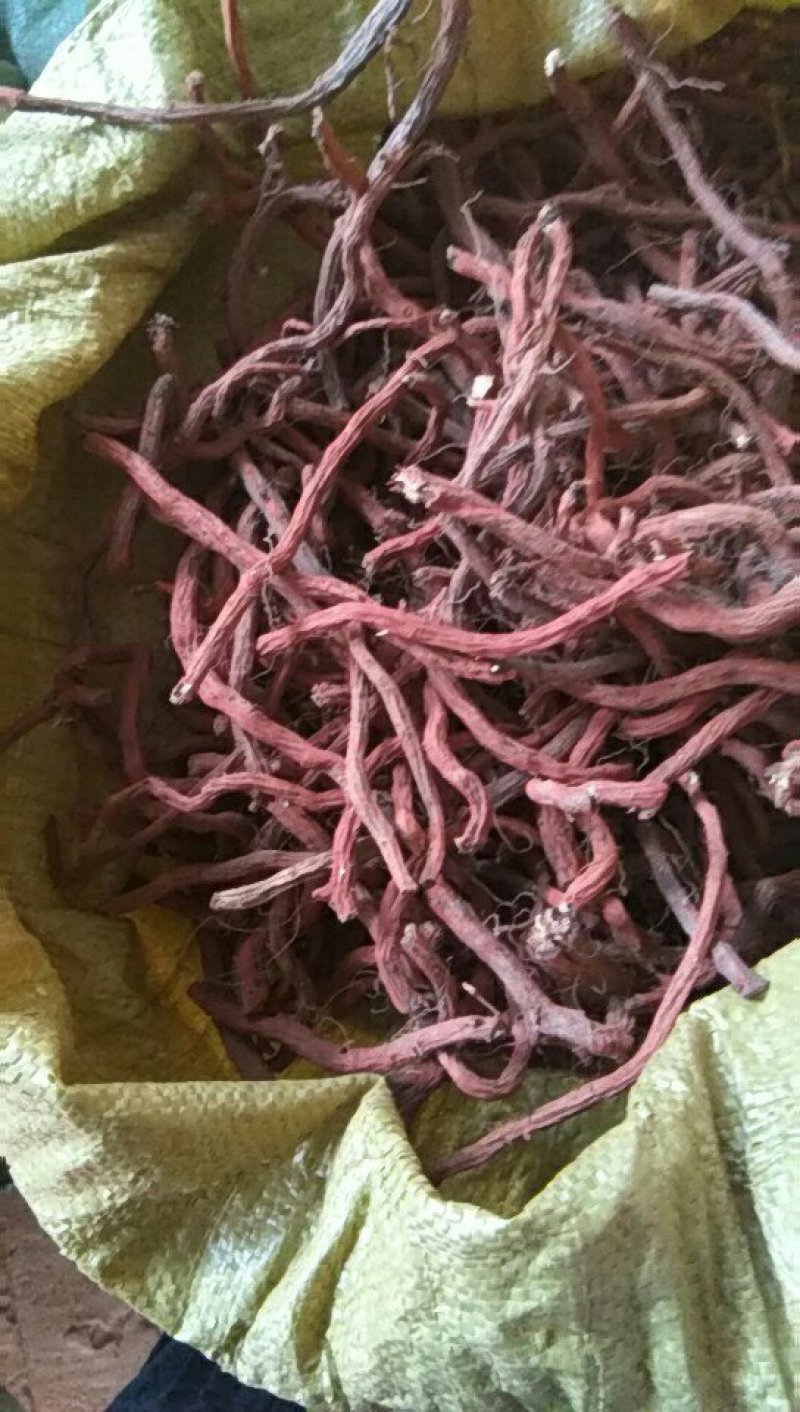 山东丹参大条，丹参片，色红干度好，含量高杂质少，无硫
