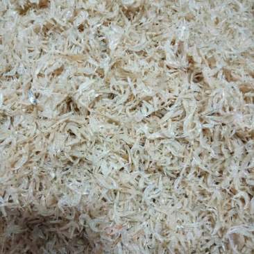 虾皮