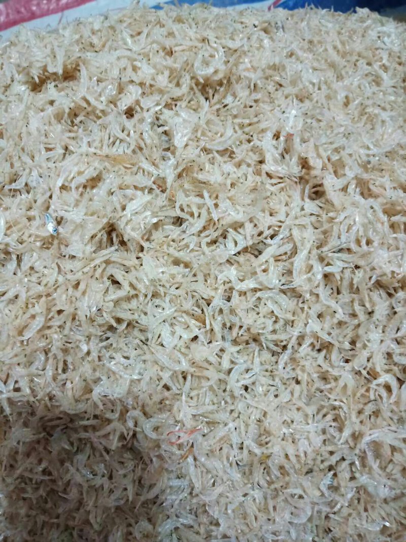 虾皮