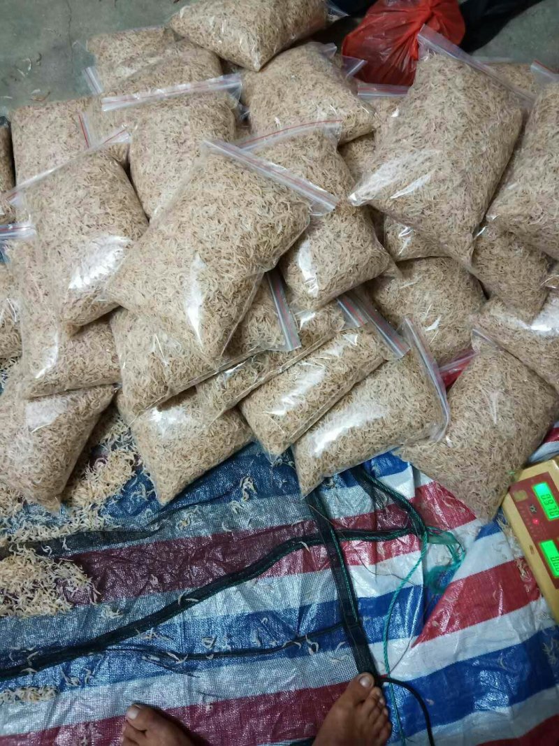 虾皮