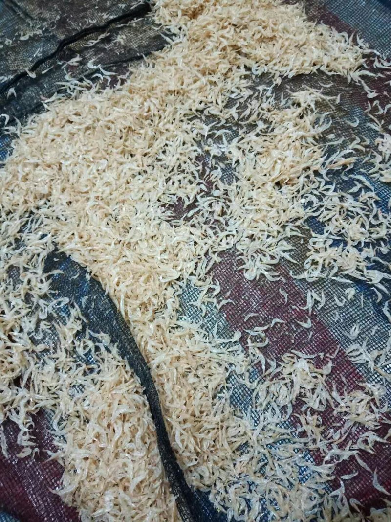 虾皮