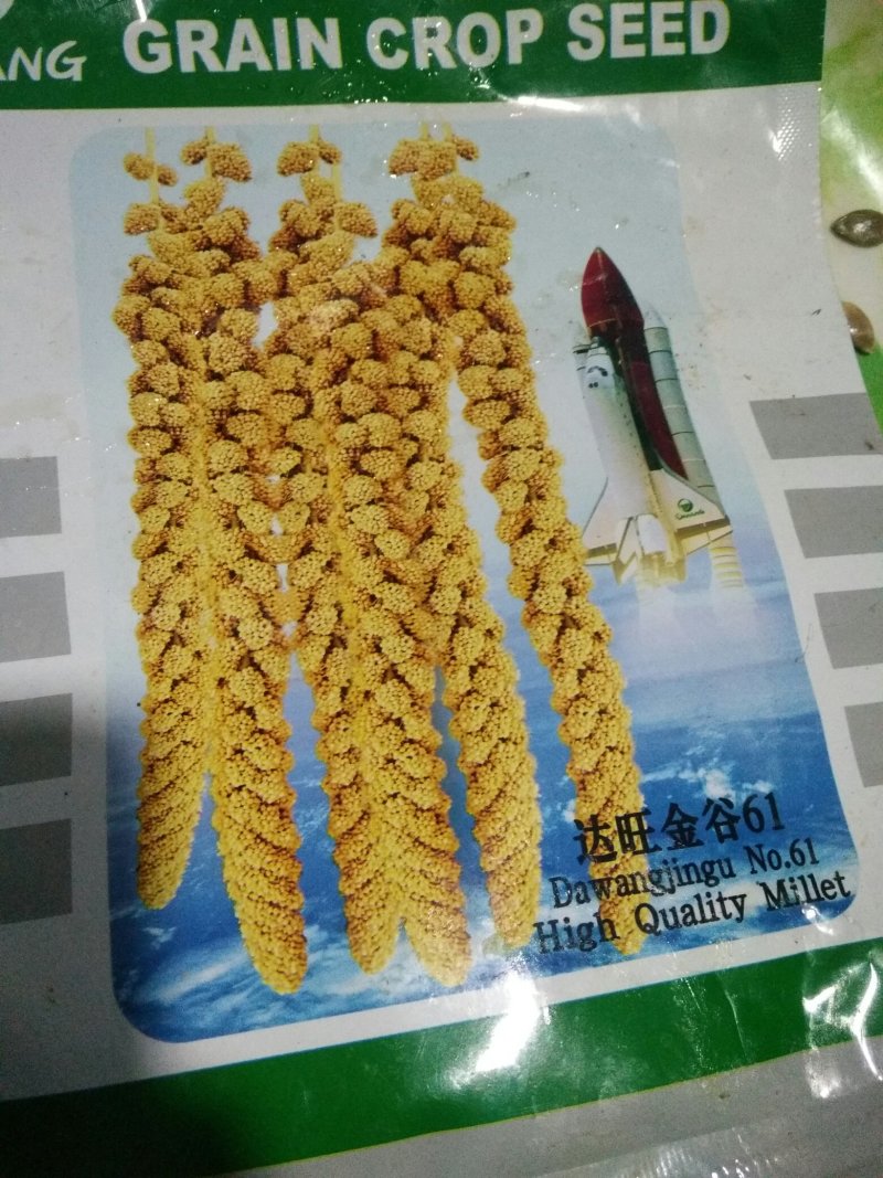 达旺金谷价钱便宜