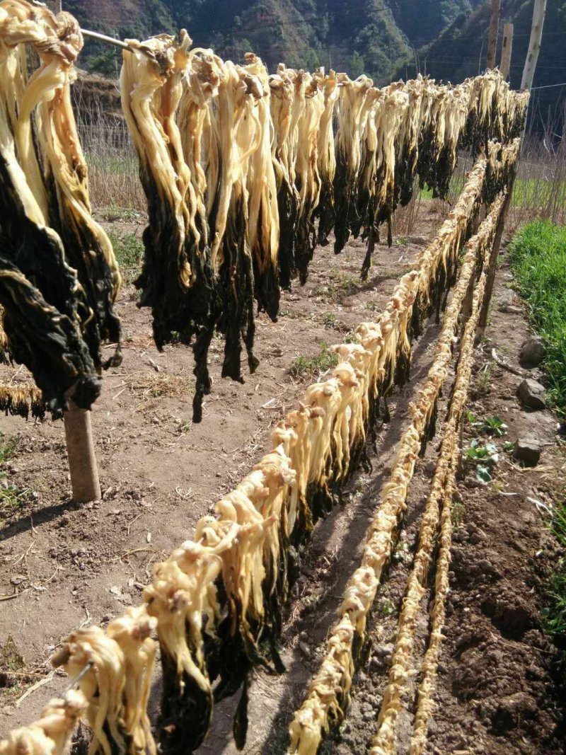 脱水白菜散装白菜干兰州菜干50斤/件（散菜）