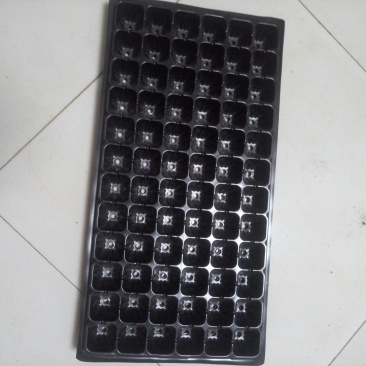 大量现货供应批发育苗盘穴盆育秧育苗扦插育苗种规格齐全